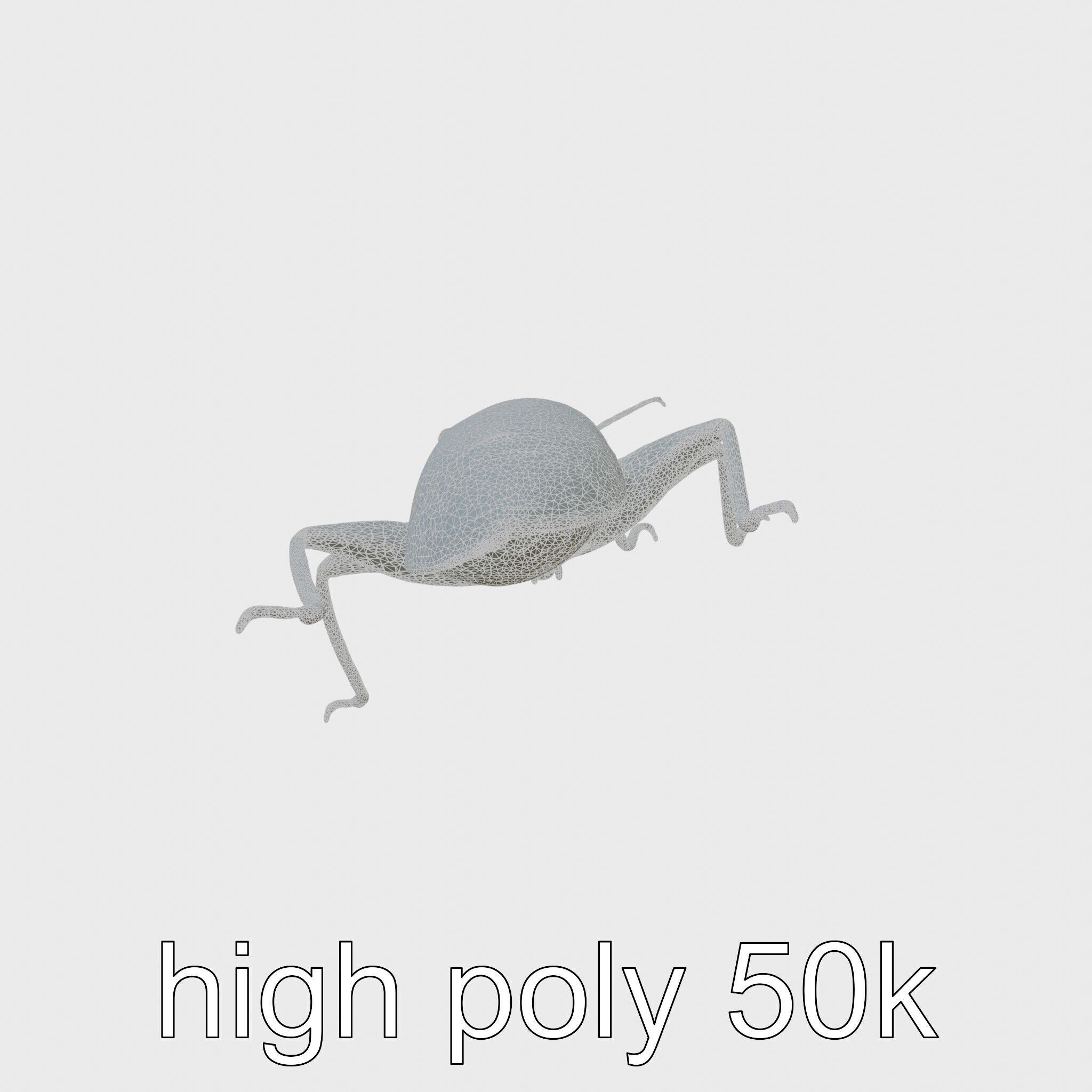 Jungle Cockroach Detailed 3D Model Low-poly 3D model_20