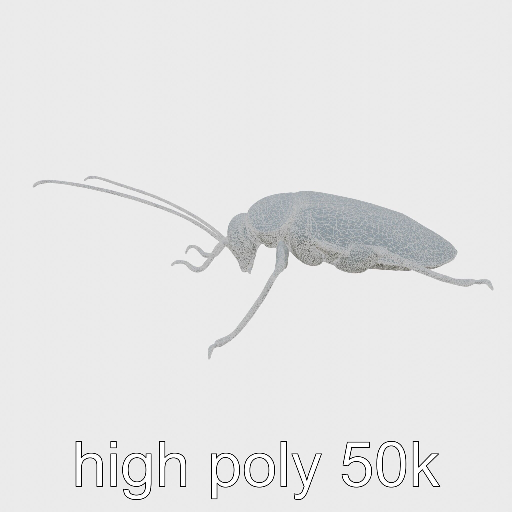 Jungle Cockroach Detailed 3D Model Low-poly 3D model_8