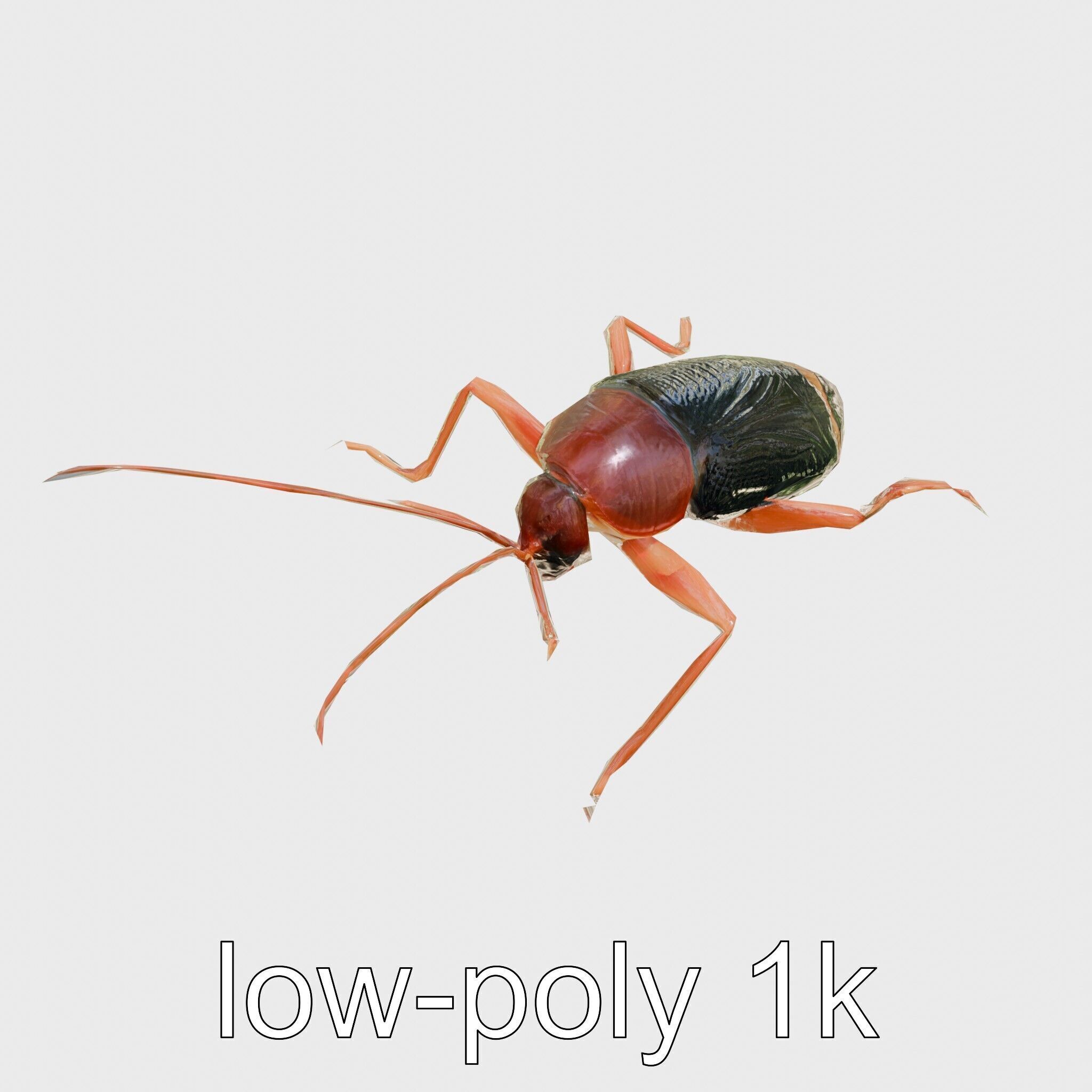 Jungle Cockroach Detailed 3D Model Low-poly 3D model_14