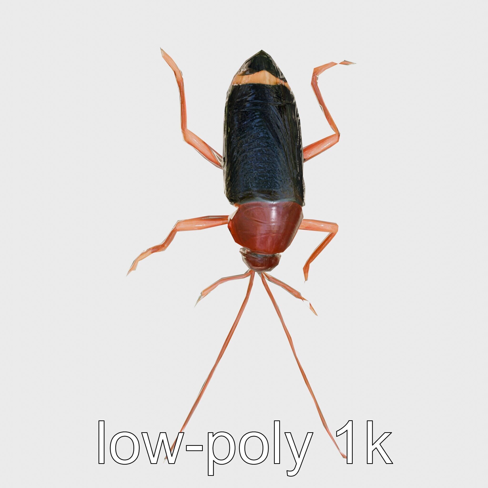 Jungle Cockroach Detailed 3D Model Low-poly 3D model_27