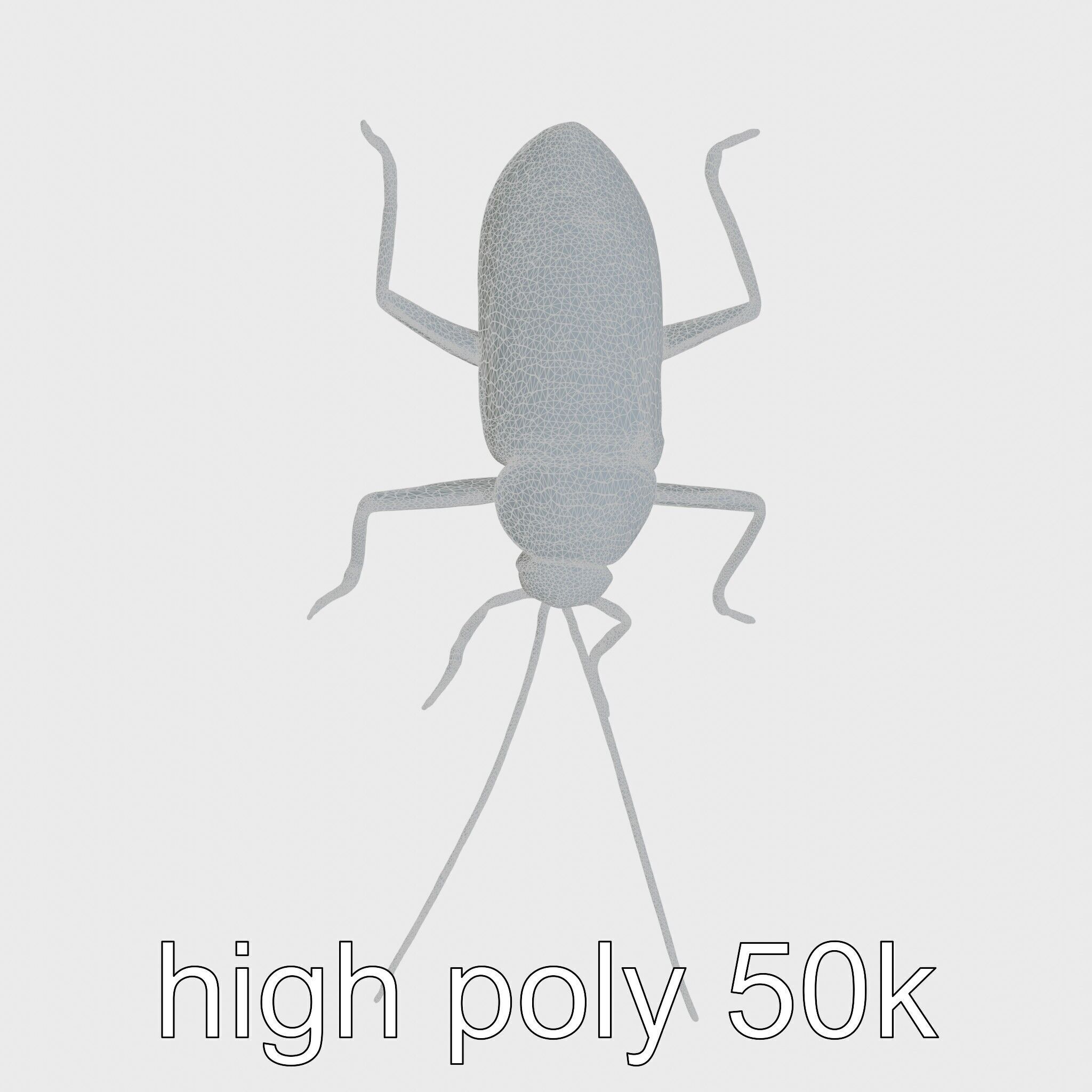Jungle Cockroach Detailed 3D Model Low-poly 3D model_24