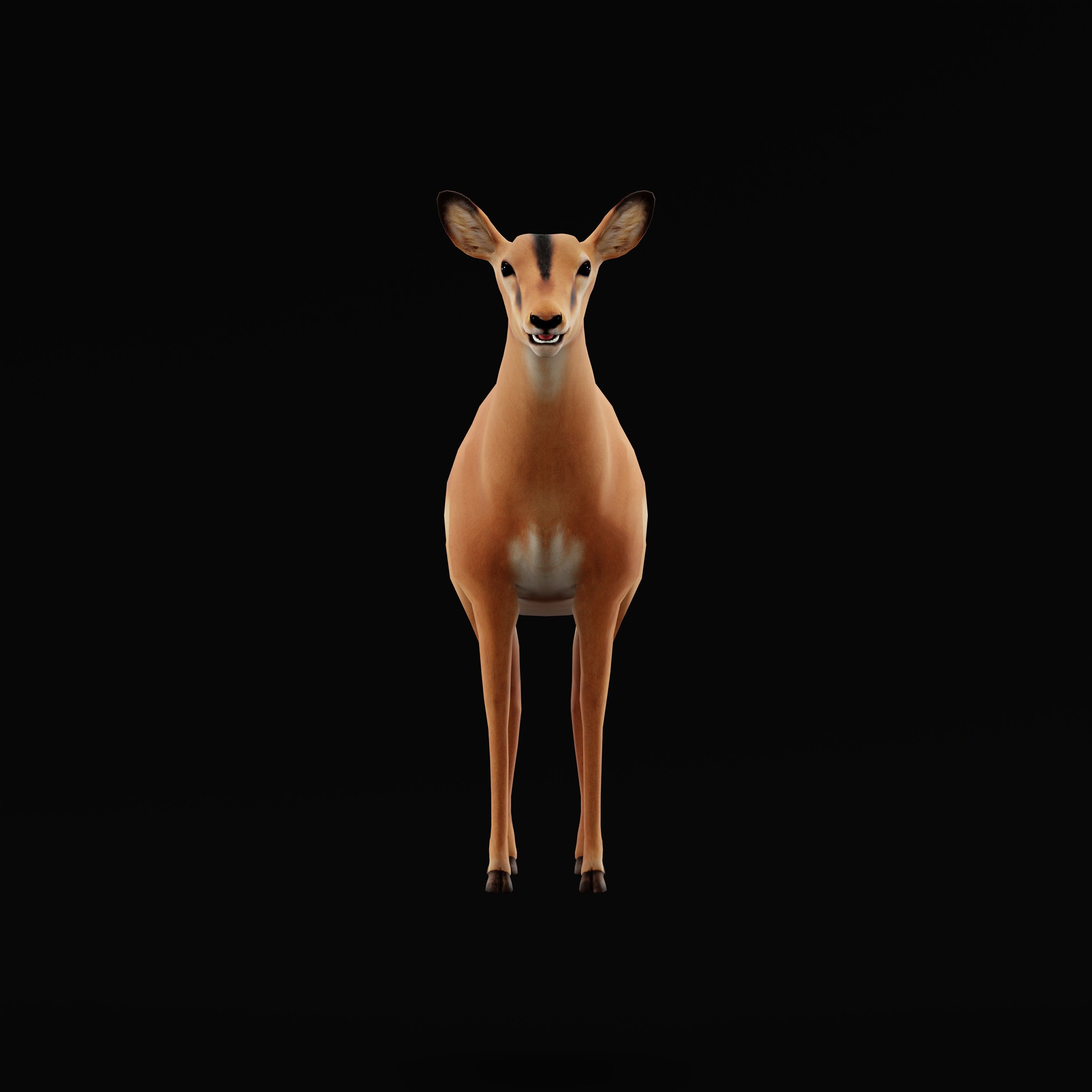Black Faced Female Impala Low-poly 3D model_40