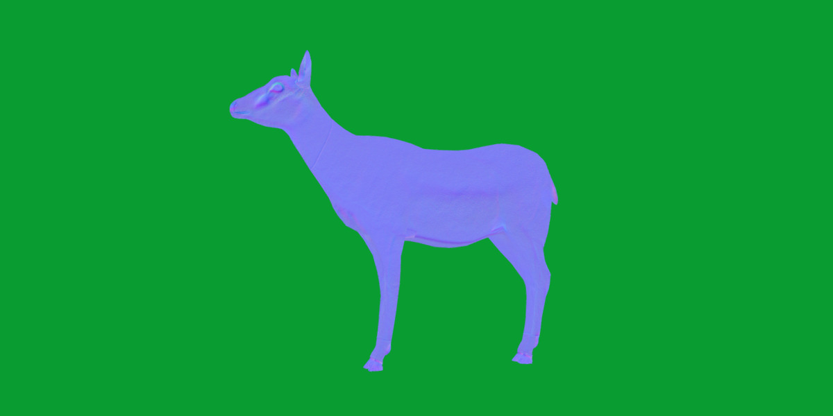 Black Faced Female Impala Low-poly 3D model_11
