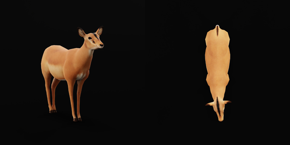 Black Faced Female Impala Low-poly 3D model_8