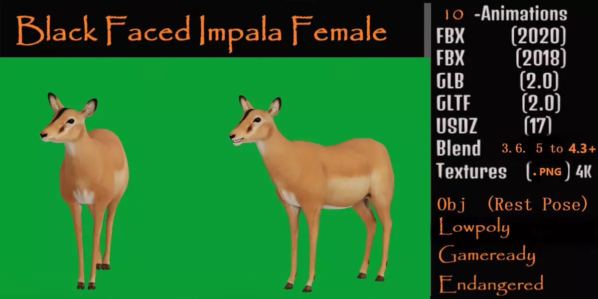 Black Faced Female Impala Low-poly 3D model_0