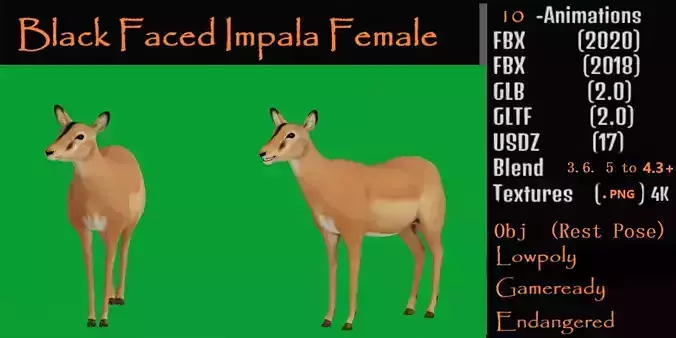 Black Faced Female Impala Low-poly 3D model Black Faced Female Impala Low-poly 3D model