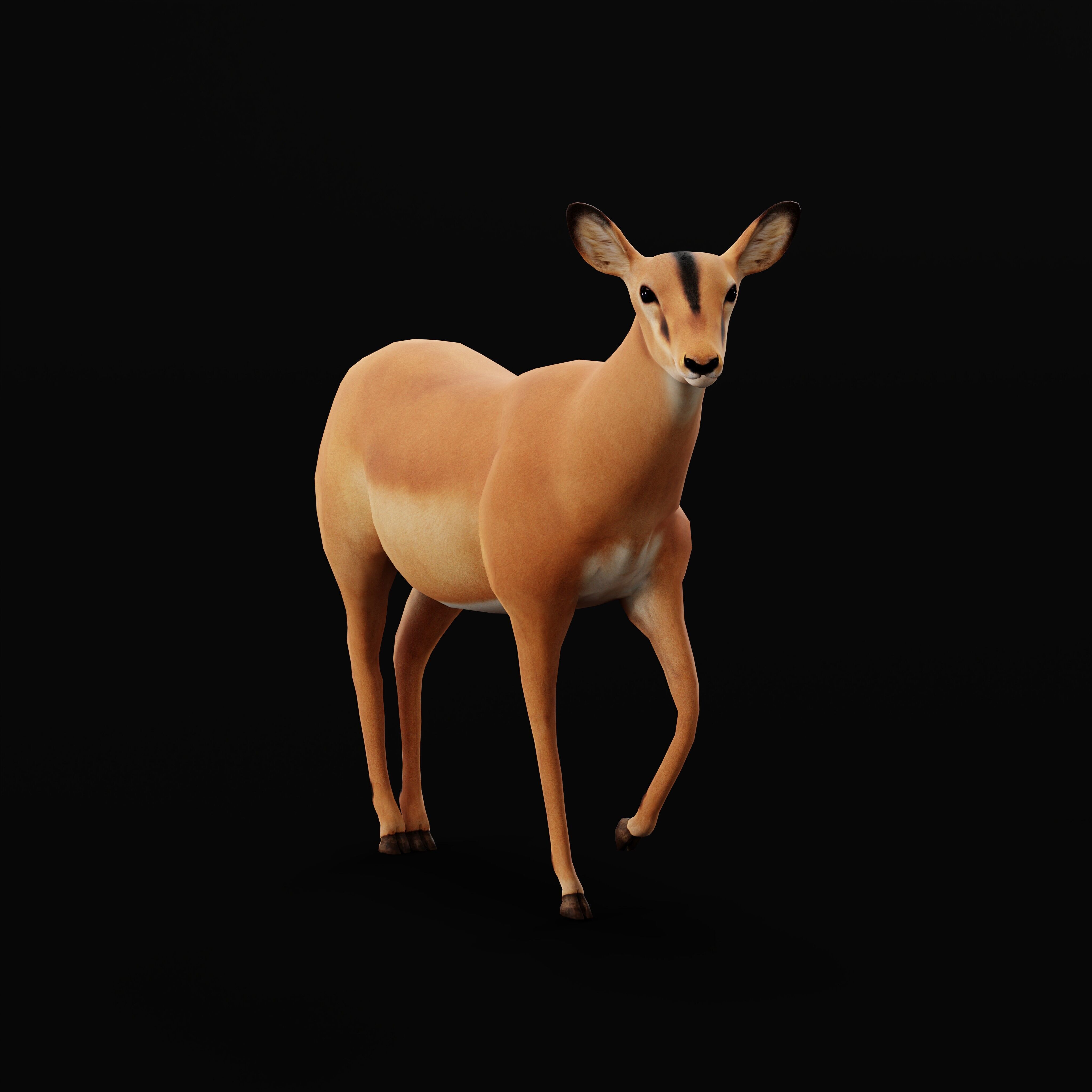 Black Faced Female Impala Low-poly 3D model_33