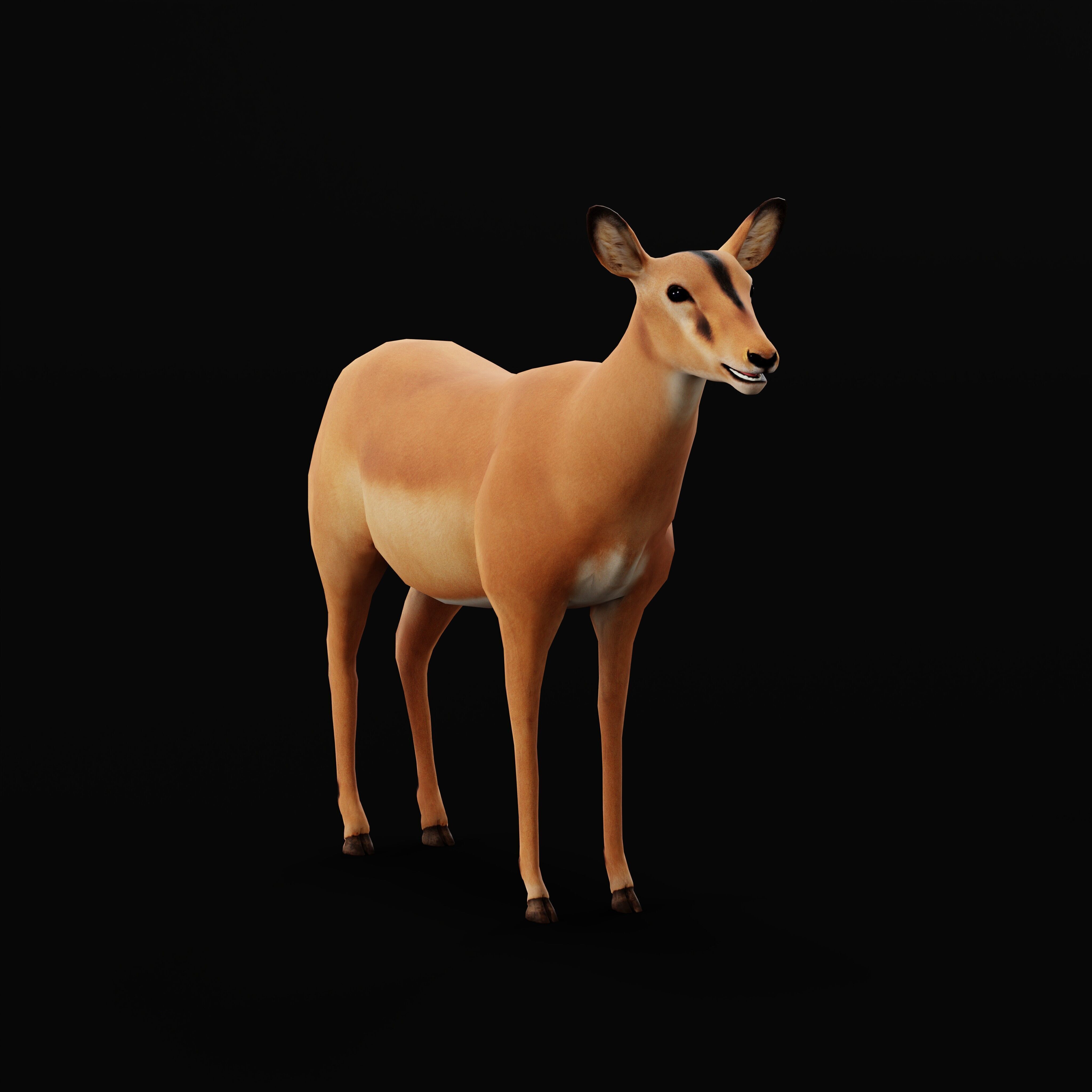 Black Faced Female Impala Low-poly 3D model_39