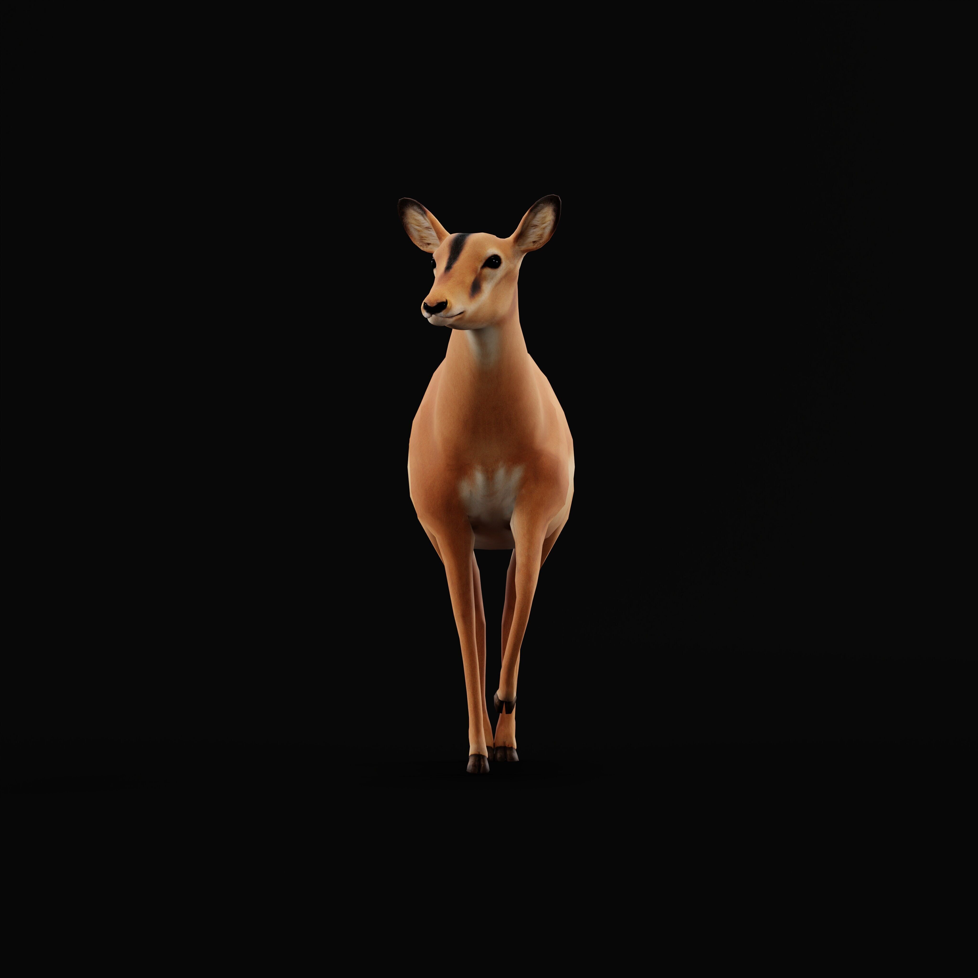 Black Faced Female Impala Low-poly 3D model_34