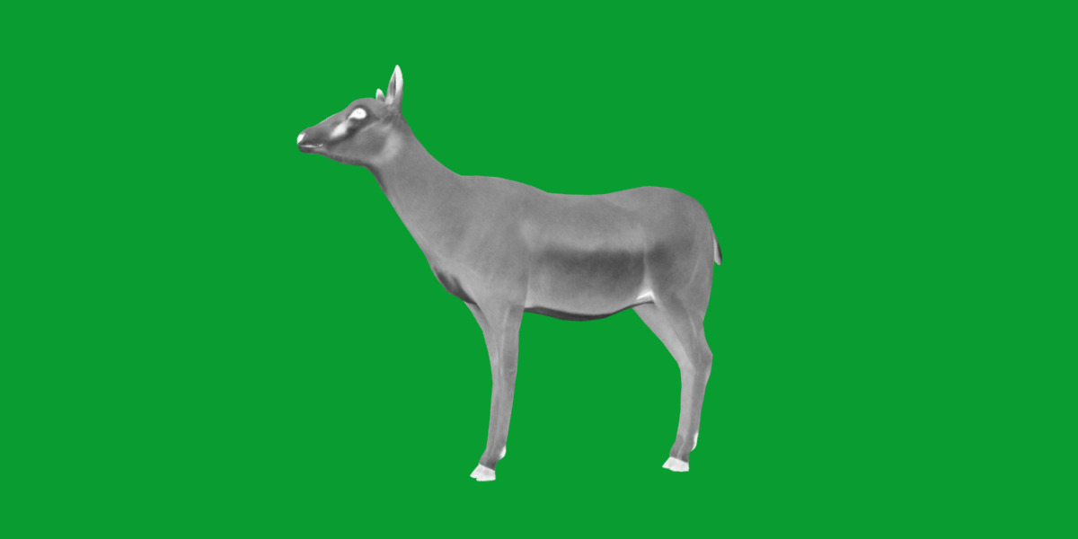 Black Faced Female Impala Low-poly 3D model_12