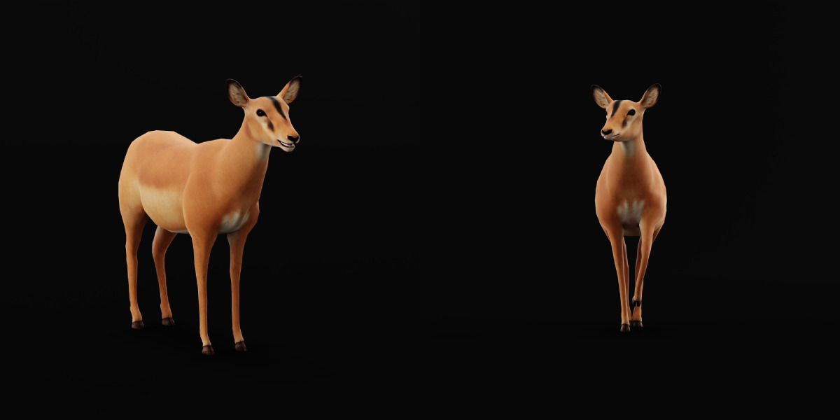 Black Faced Female Impala Low-poly 3D model_6