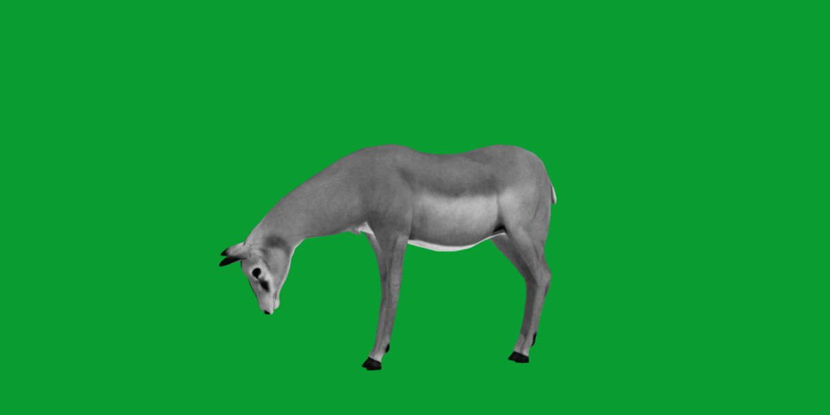 Black Faced Female Impala Low-poly 3D model_14