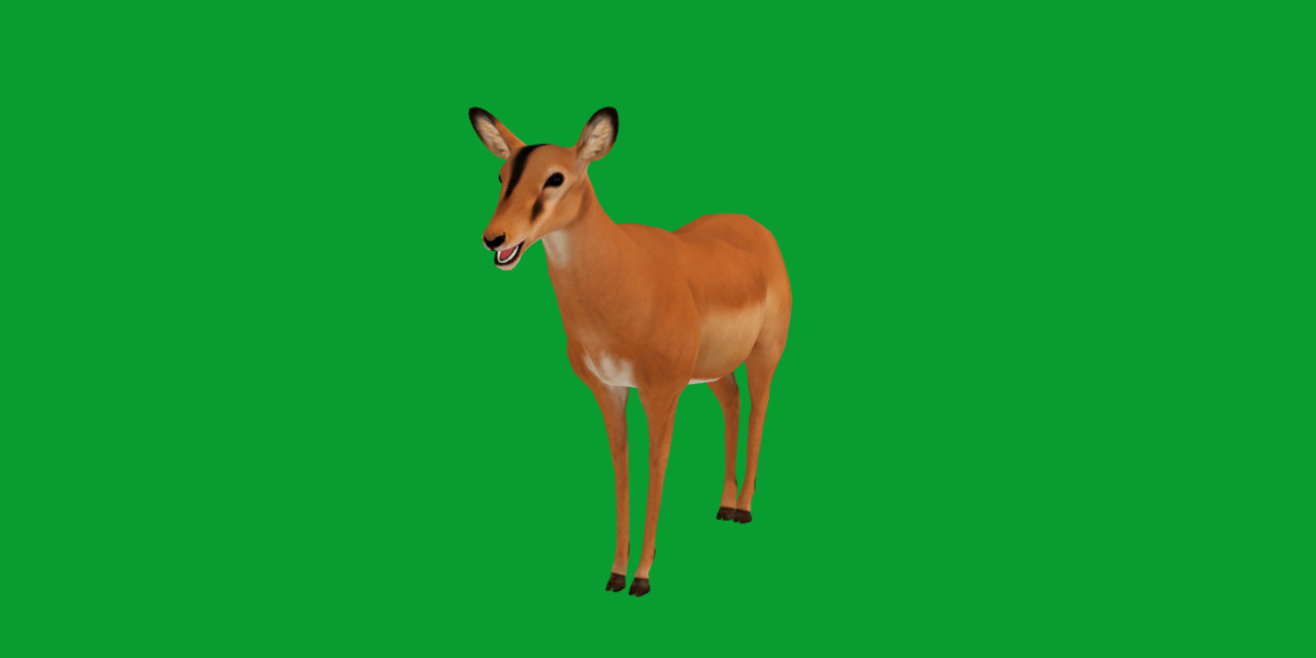Black Faced Female Impala Low-poly 3D model_25