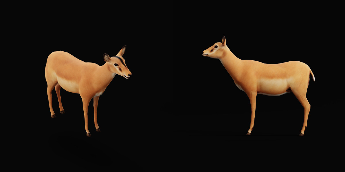 Black Faced Female Impala Low-poly 3D model_2