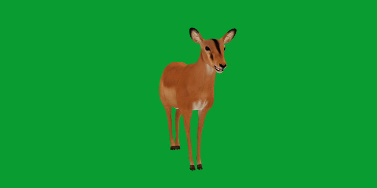 Black Faced Female Impala Low-poly 3D model_26