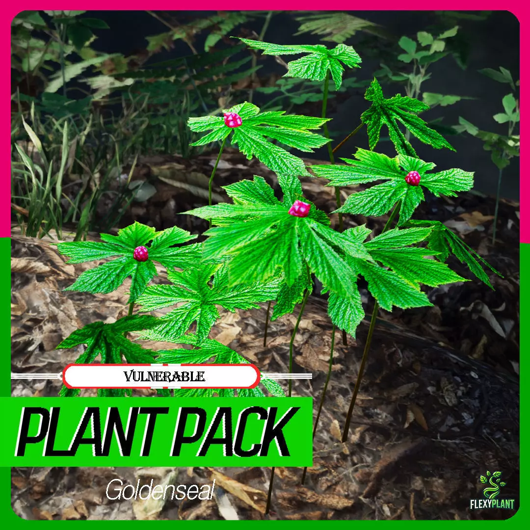 Vulnerable Plant - 6 Goldenseal Flower Tree Low-poly 3D model