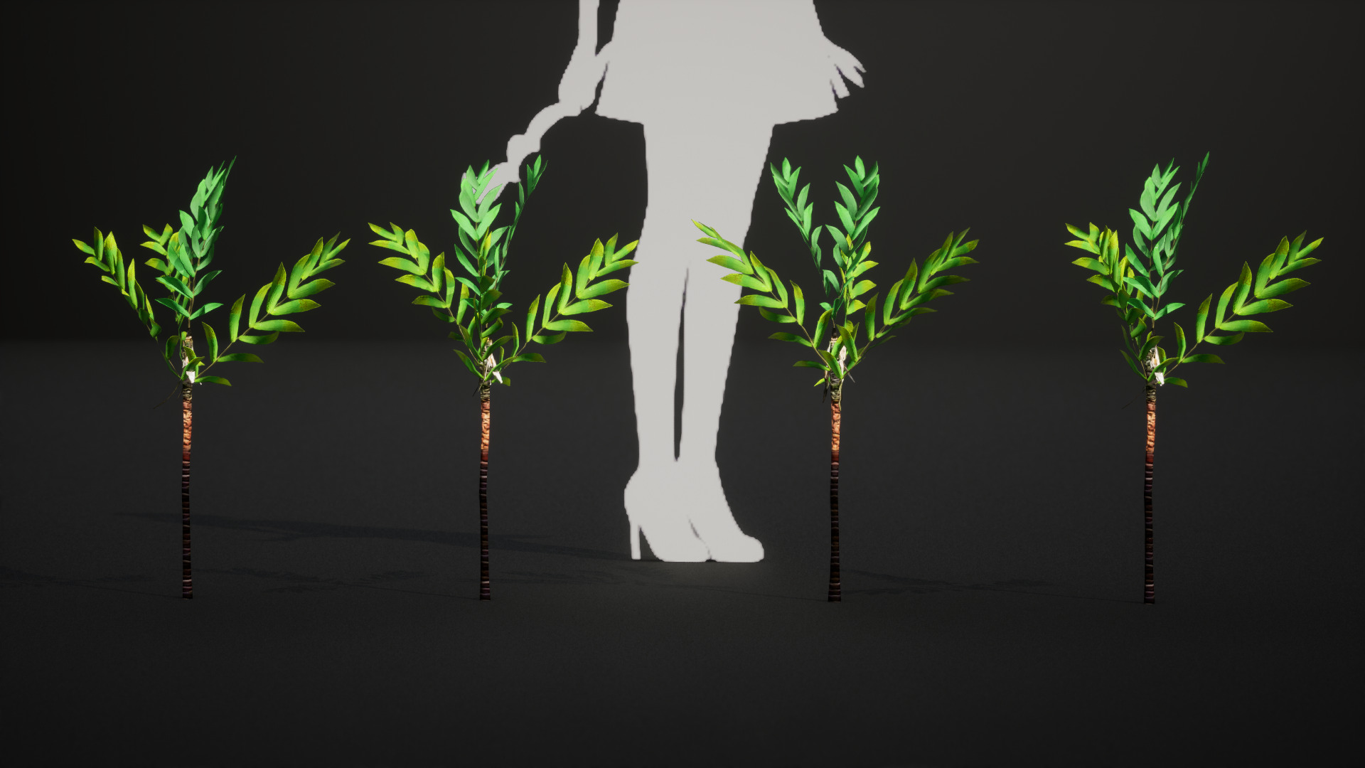 Vulnerable Plant - 6 Dypsis bonsai conifer Tree Low-poly 3D model_4