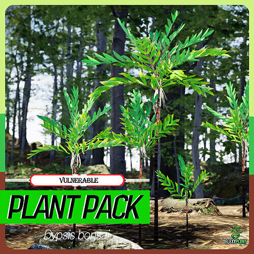Vulnerable Plant - 6 Dypsis bonsai conifer Tree Low-poly 3D model