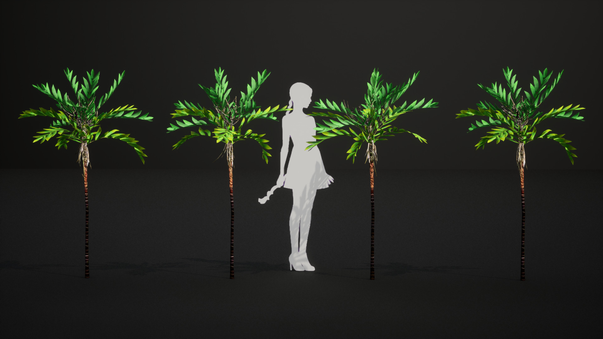 Vulnerable Plant - 6 Dypsis bonsai conifer Tree Low-poly 3D model_9