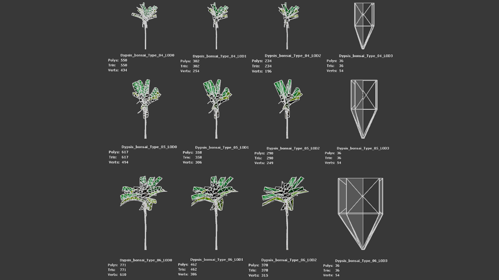 Vulnerable Plant - 6 Dypsis bonsai conifer Tree Low-poly 3D model_11
