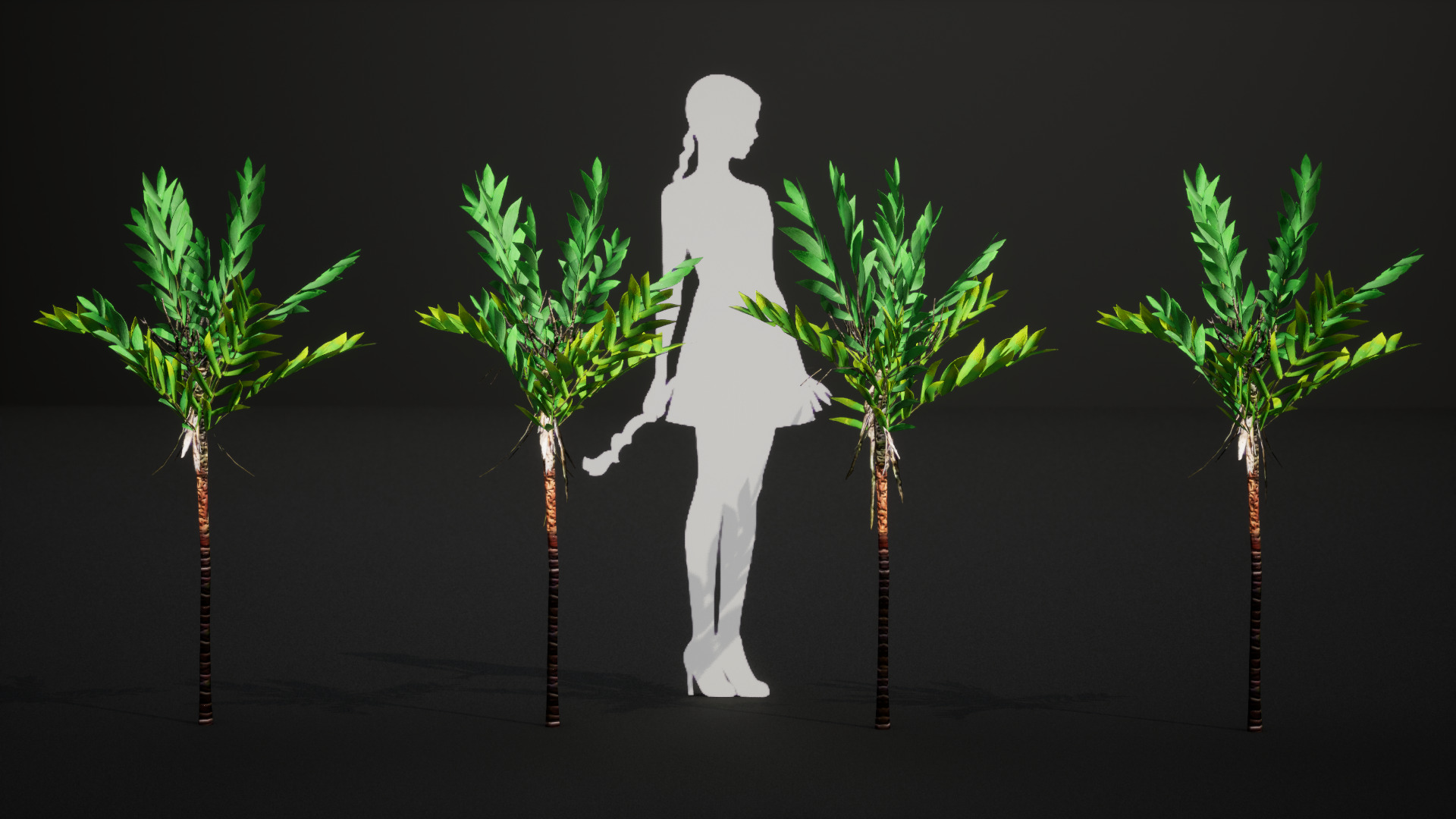 Vulnerable Plant - 6 Dypsis bonsai conifer Tree Low-poly 3D model_8