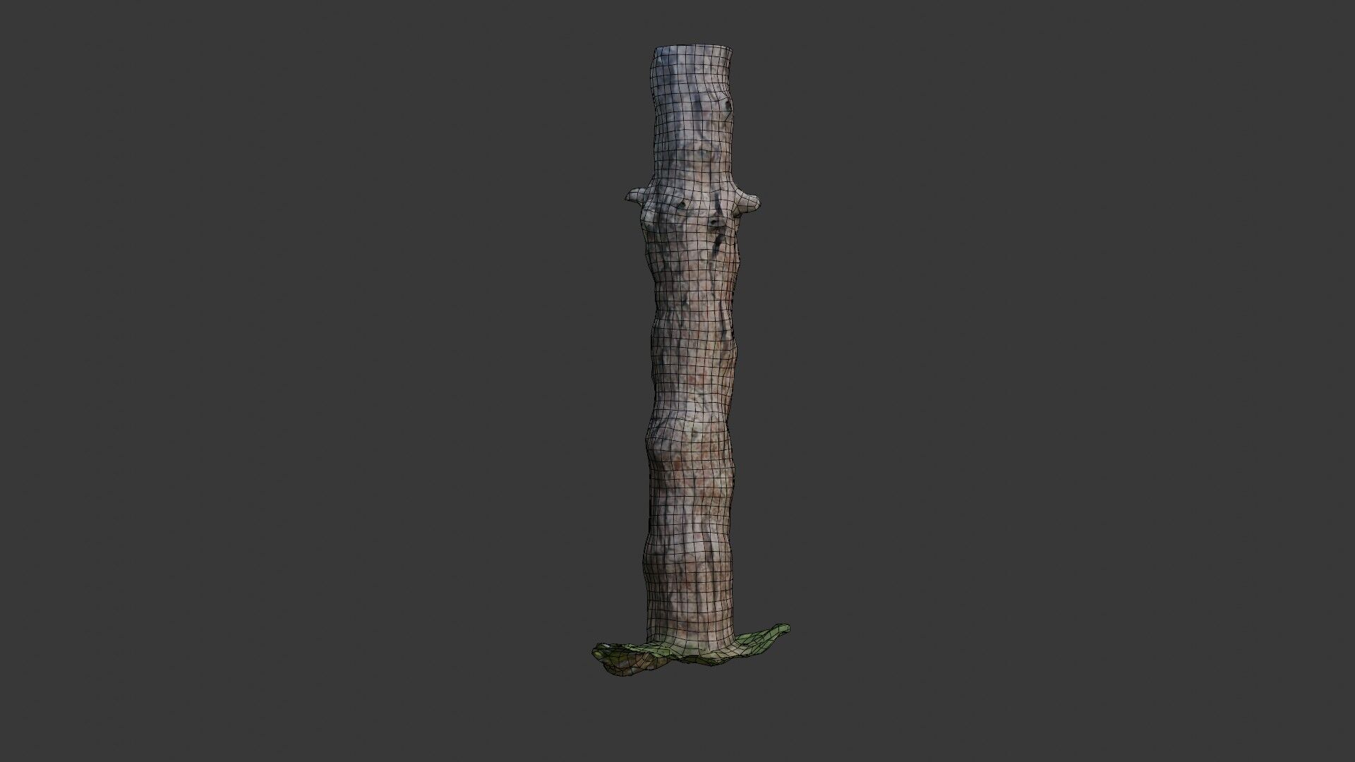 Old Pine Tree Trunk 3D Scanned Model Low-poly 3D model_2