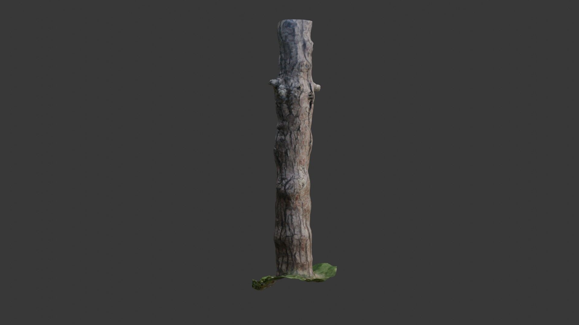 Old Pine Tree Trunk 3D Scanned Model Low-poly 3D model_3