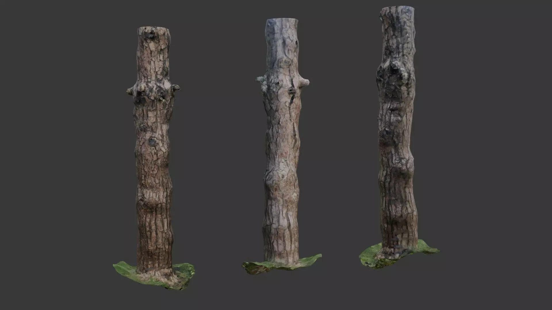 Old Pine Tree Trunk 3D Scanned Model Low-poly 3D model_0