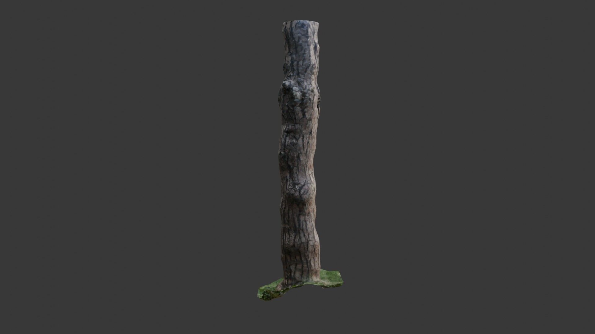 Old Pine Tree Trunk 3D Scanned Model Low-poly 3D model_4