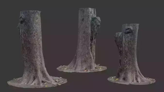 Tree Stump with Roots  3D Scanned Model Low-poly 3D model