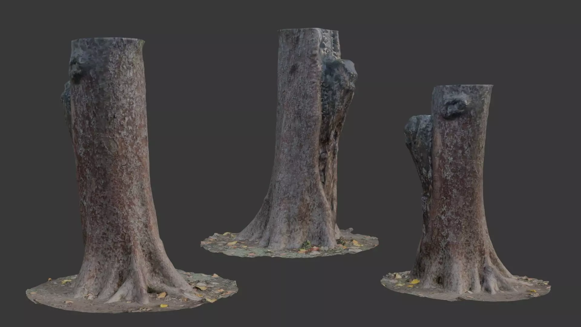 Tree Stump with Roots  3D Scanned Model Low-poly 3D model_0
