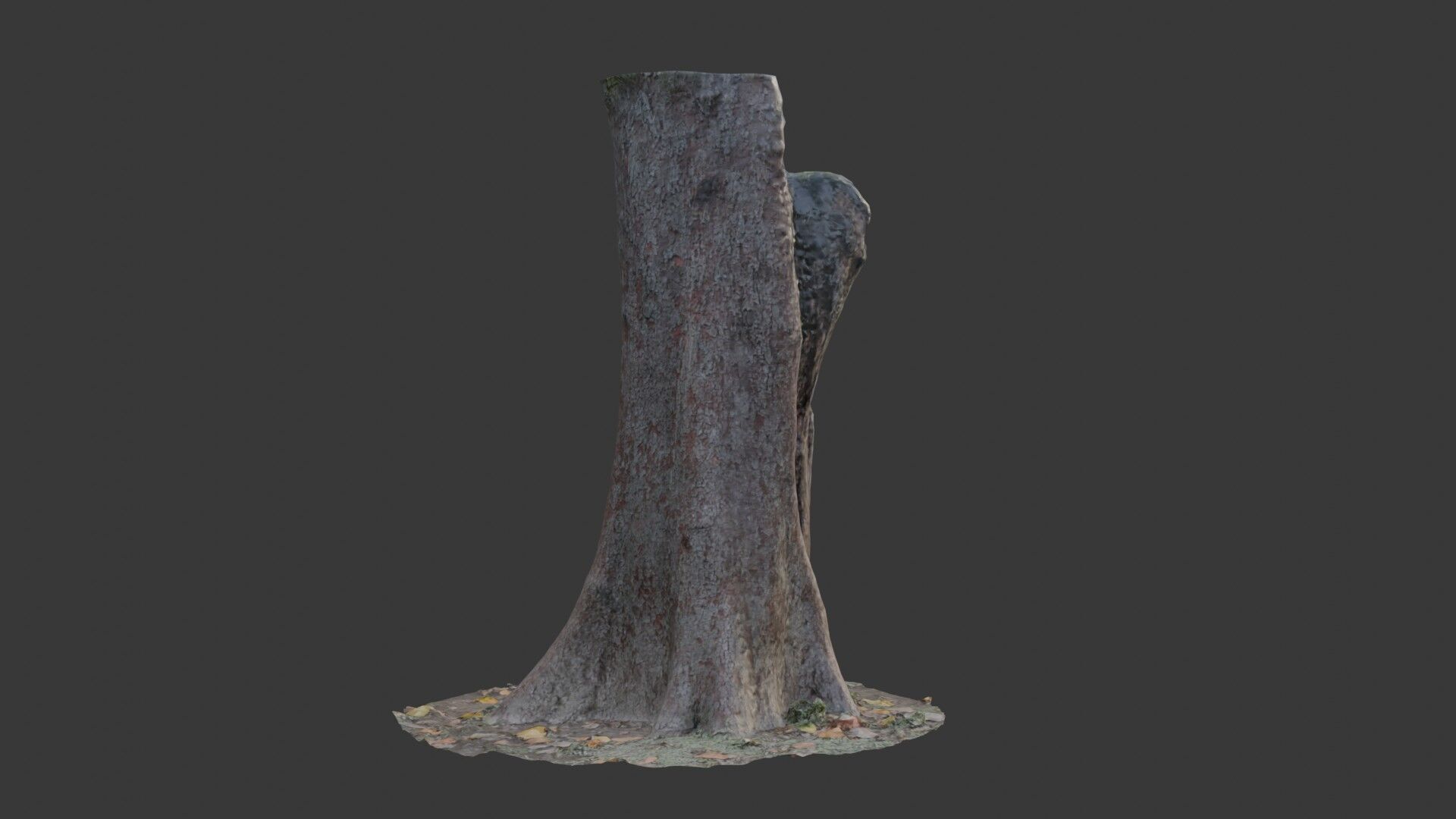 Tree Stump with Roots  3D Scanned Model Low-poly 3D model_3