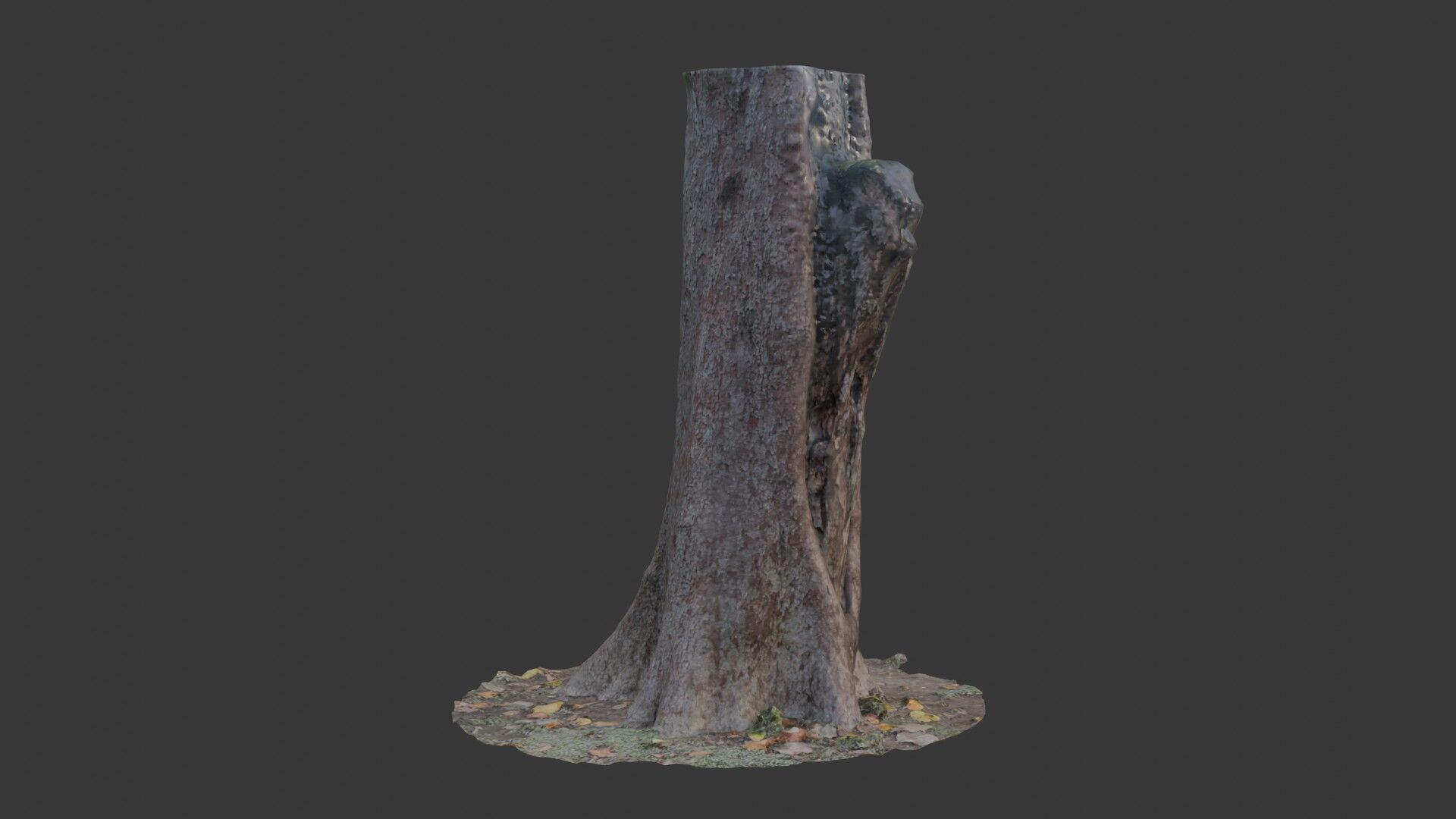 Tree Stump with Roots  3D Scanned Model Low-poly 3D model_1