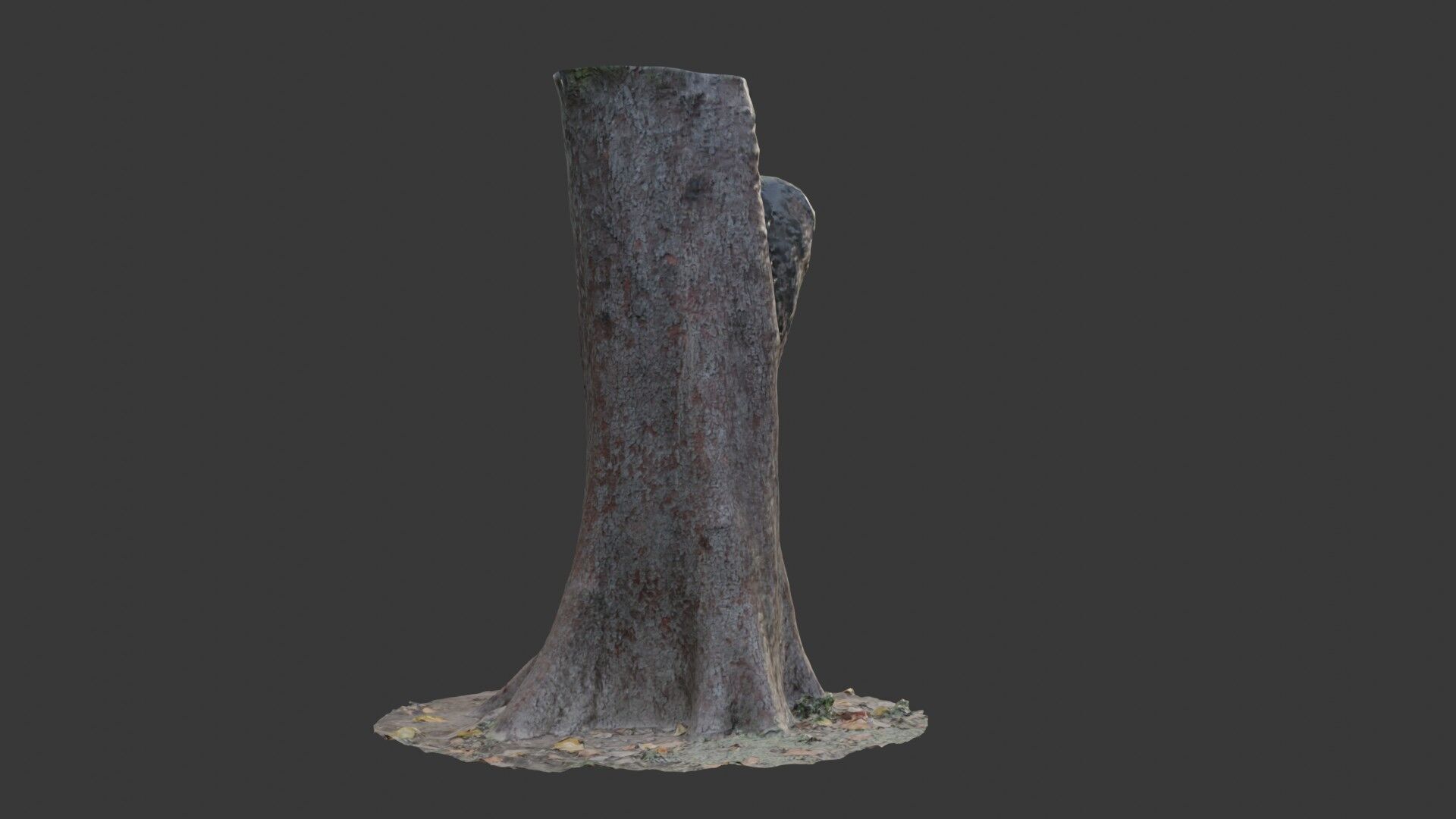 Tree Stump with Roots  3D Scanned Model Low-poly 3D model_4