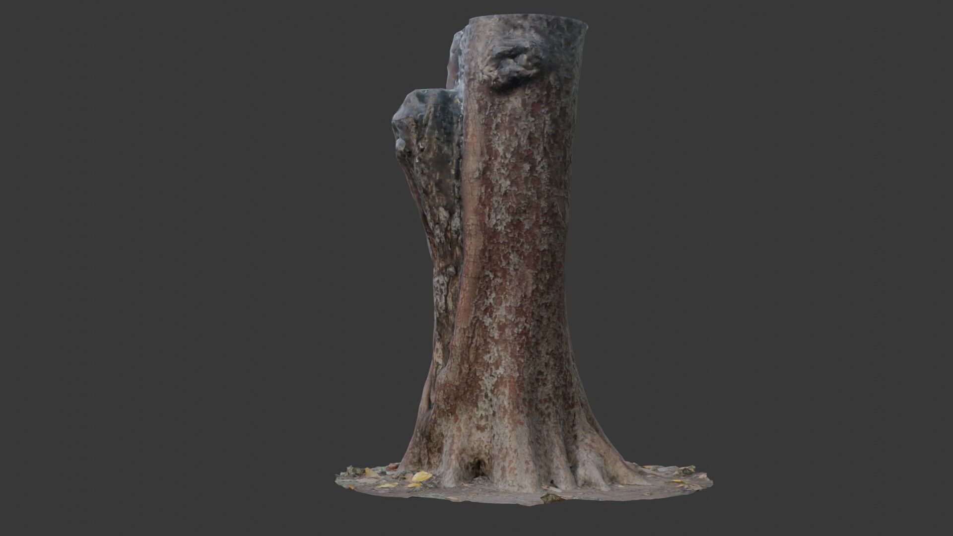 Tree Stump with Roots  3D Scanned Model Low-poly 3D model_7