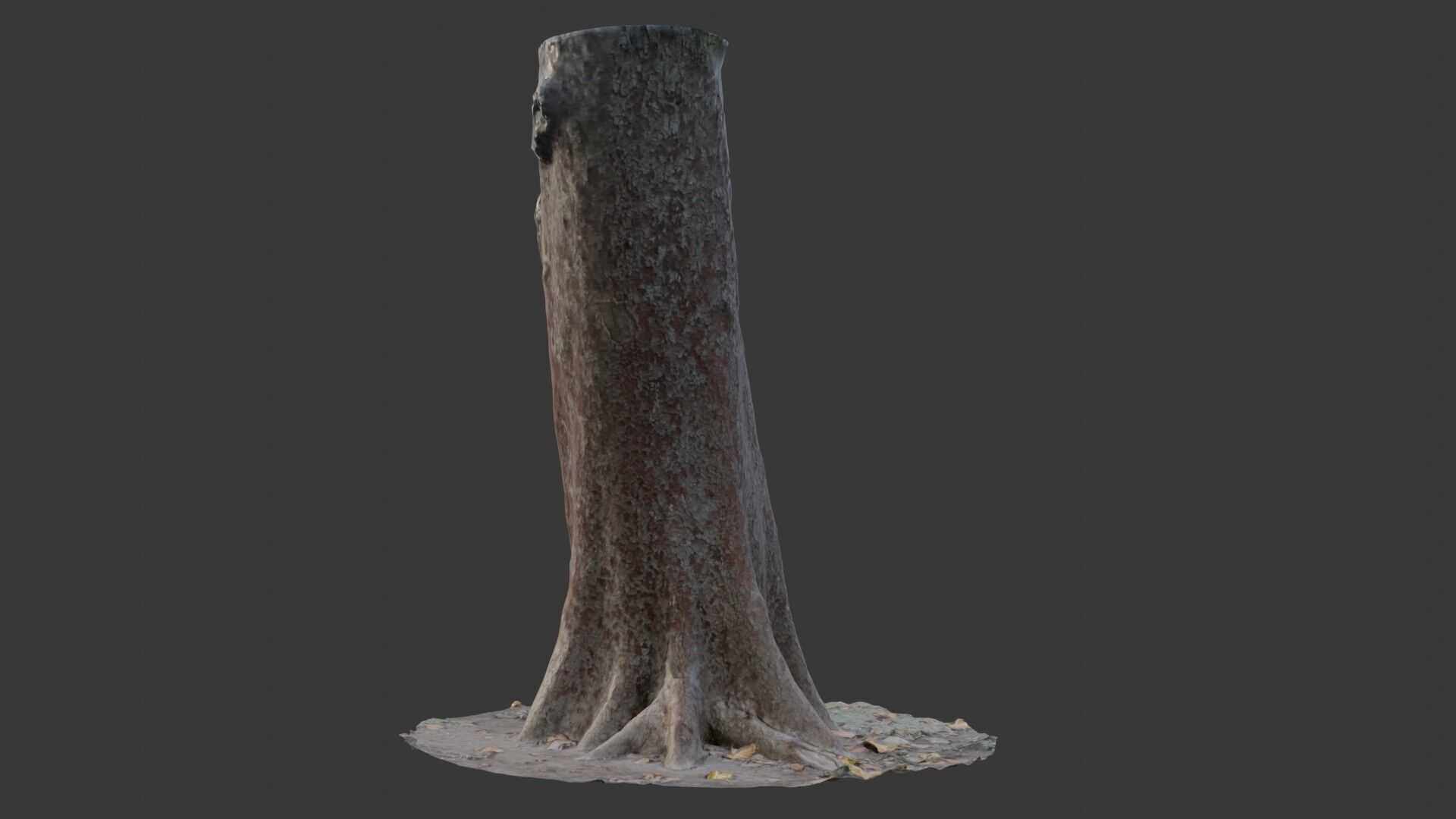 Tree Stump with Roots  3D Scanned Model Low-poly 3D model_6