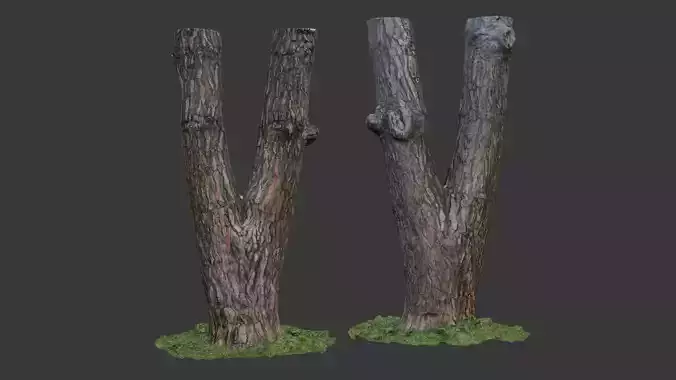 Split Tree Trunk  3D Scanned Model Low-poly 3D model
