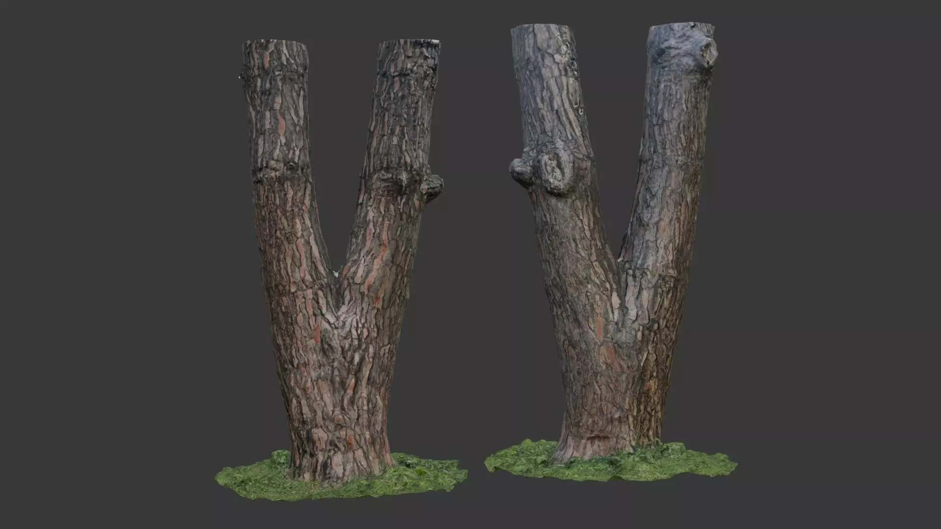 Split Tree Trunk  3D Scanned Model Low-poly 3D model_0