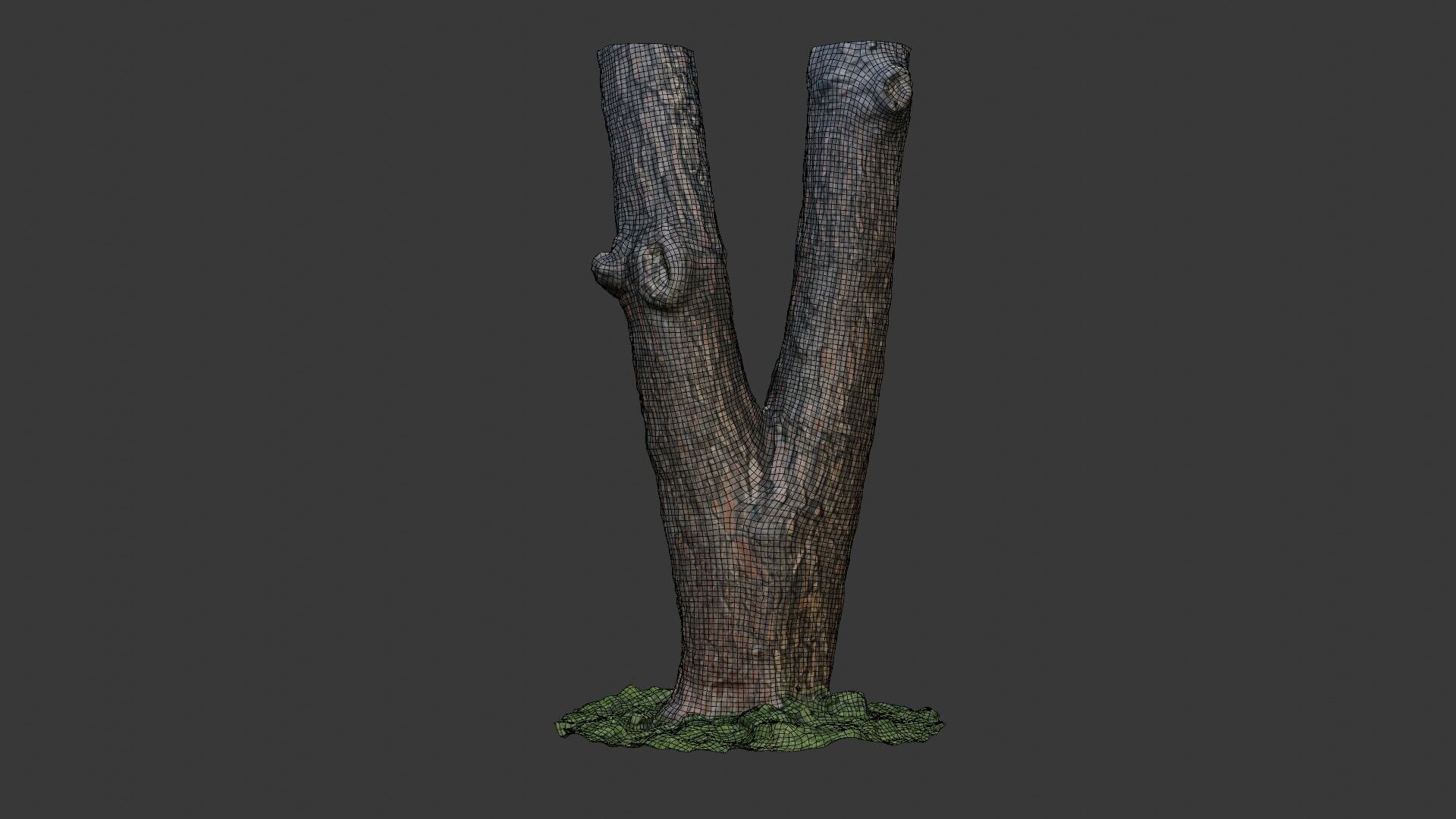 Split Tree Trunk  3D Scanned Model Low-poly 3D model_2