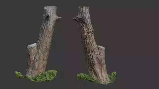 Slanted Tree Trunk  3D Scanned Model Low-poly 3D model