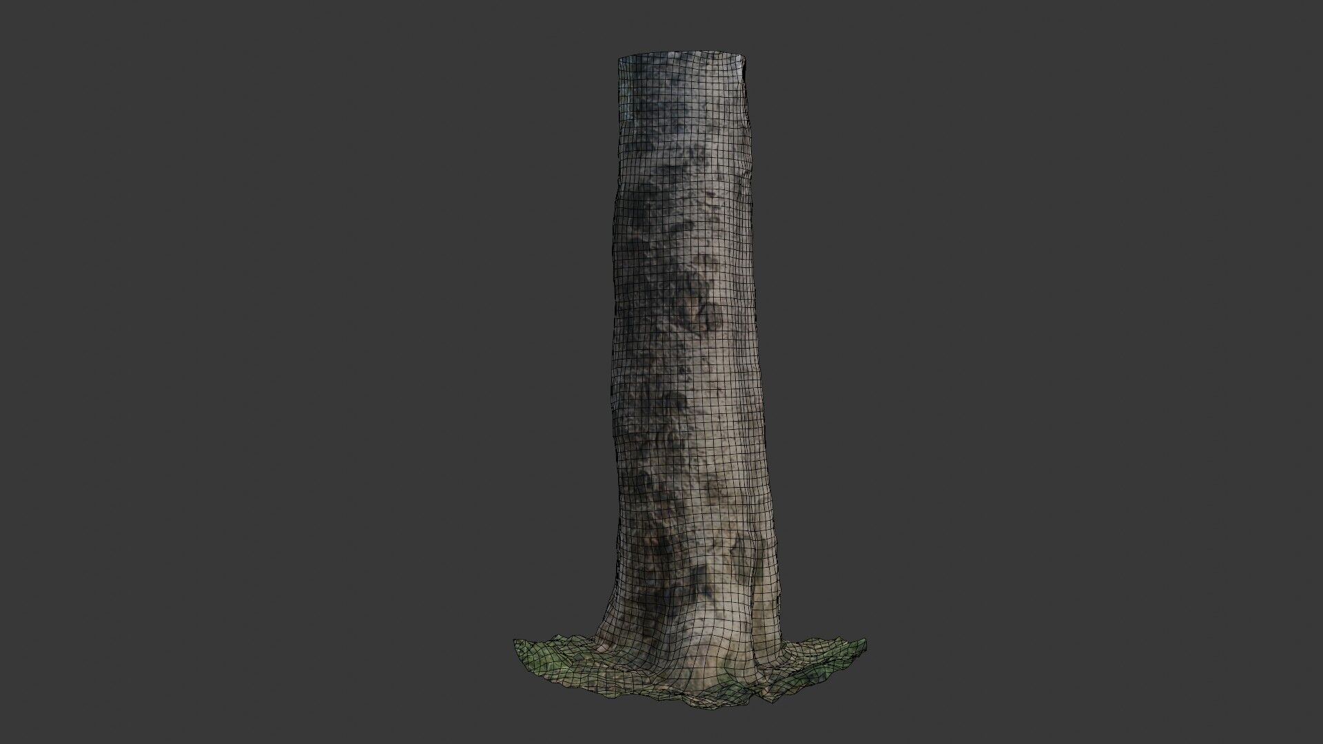 Birch Tree Trunk  3D Scanned Model Low-poly 3D model_2