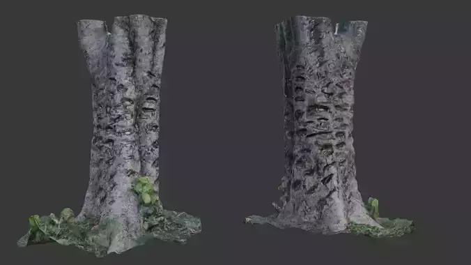 Split Birch Tree Trunk  3D Scanned Model Low-poly 3D model