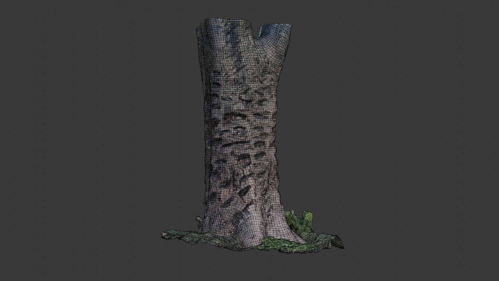 Split Birch Tree Trunk  3D Scanned Model Low-poly 3D model_2