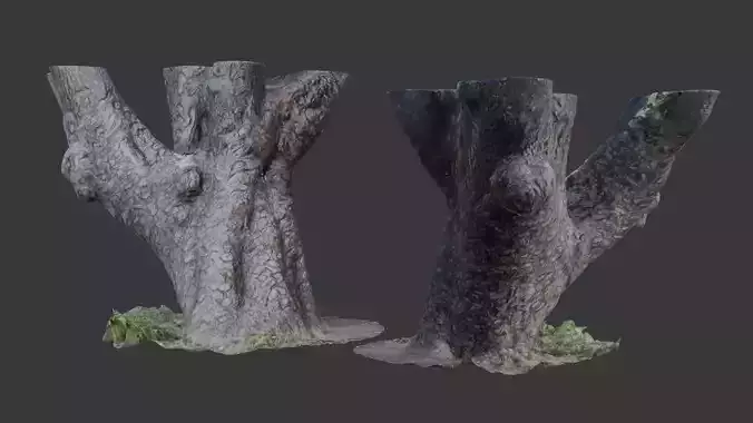 Thick Cut Tree Trunk with Branch Stumps 3D Scanned Model