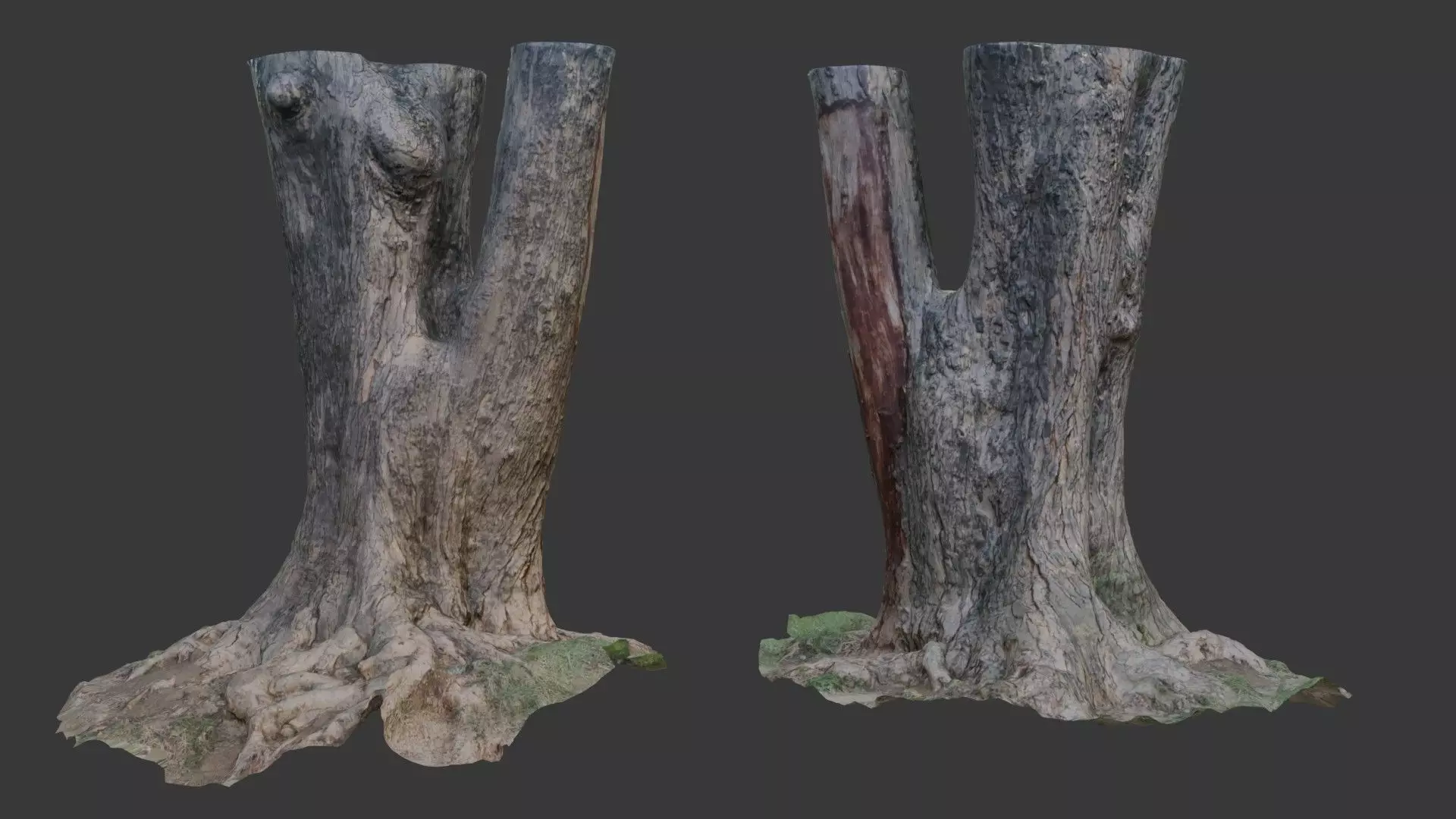 Large Split Tree Trunk with Roots 3D Scanned Model Low-poly 3D model