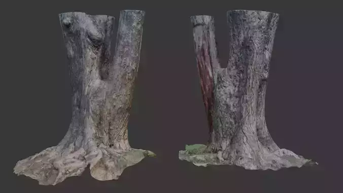 Large Split Tree Trunk with Roots  3D Scanned Model
