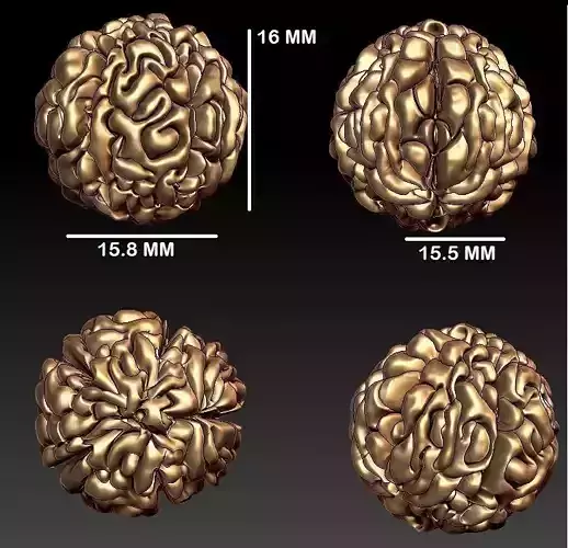 Rudraksh Panchmukhi  16MM