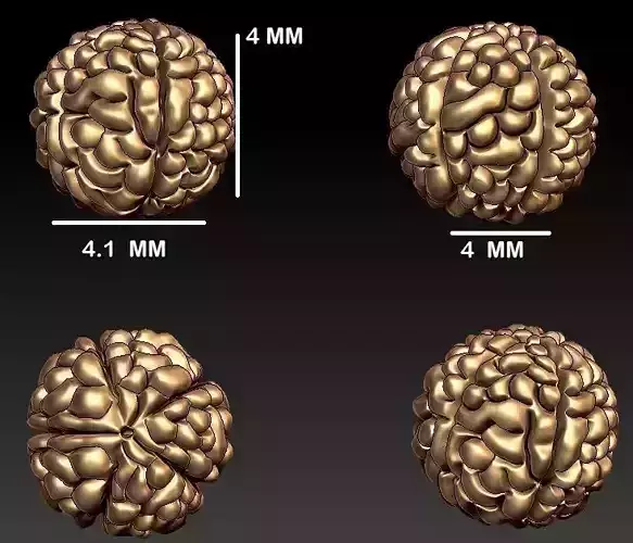Rudraksh Panchmukhi 4MM 