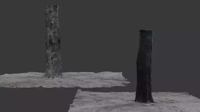 Tree Stump with Ground 3D Scanned Model