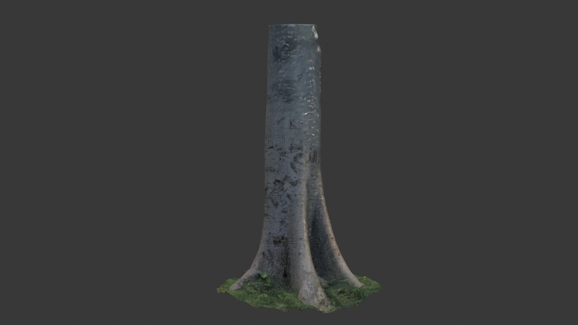 Realistic Tree Trunk  3D Scanned Model Low-poly 3D model_5